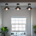 Vintage Industrial Ceiling Light for Home Living Room Decor