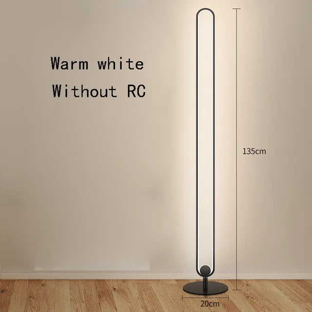 RGB LED Floor Lamp with Remote Control - Modern Minimalist Standing Light