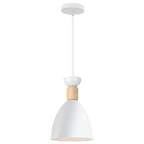 Vintage Modern Wood Pendant Lamp | Nordic Industrial LED Hanging Light