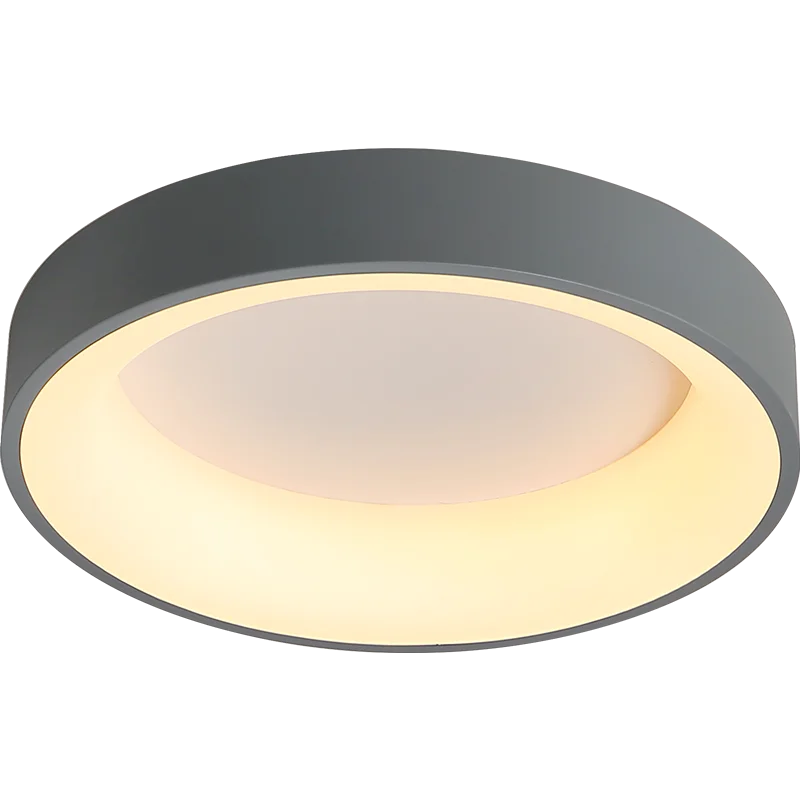 Modern LED Ceiling Lamp for Living Room, Bedroom, Study - Grey or White
