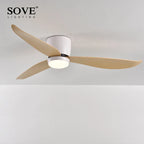 LED Ceiling Fan with Remote Control, Modern Design, Bedroom Decor, 220V