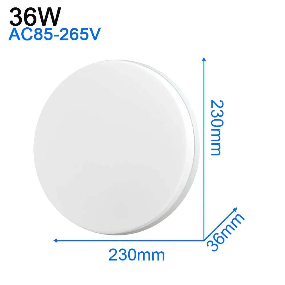 LED Ceiling Light: Modern Ultra-thin Panel, 6-48W, Surface Mounted for Living Room