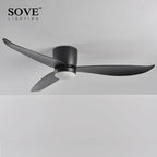 LED Ceiling Fan with Remote Control, Modern Design, Bedroom Decor, 220V