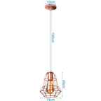 Rose Gold Industrial Iron Pendant Lights for Home Living Room Kitchen.