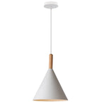 LED Industrial Pendant Lamp for Stylish Living Room & Bedroom Decor Lighting