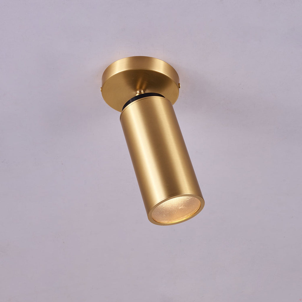 Horizon Brass Spot Light