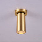 Horizon Brass Spot Light