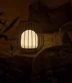 Liora Rechargeable Outdoor Lantern Light