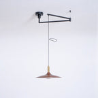 Crane Swing Arm Pendant Lamp