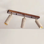 Nimbus Ceiling Spotlight