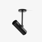 Norano Ceiling Light