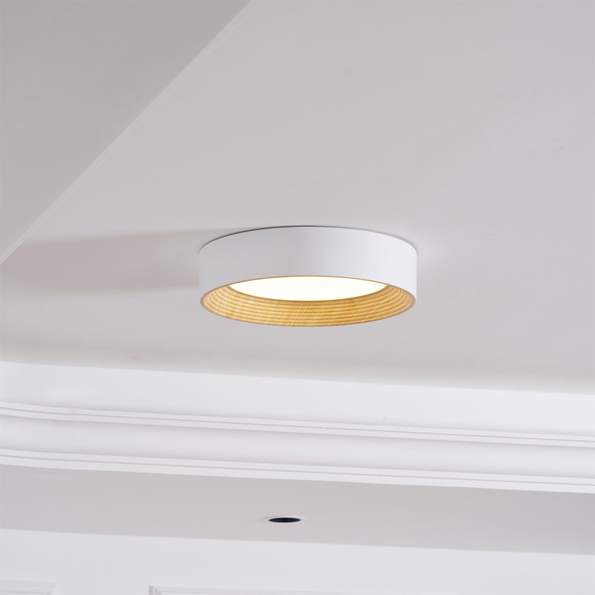 Oreen Ceiling Lamp