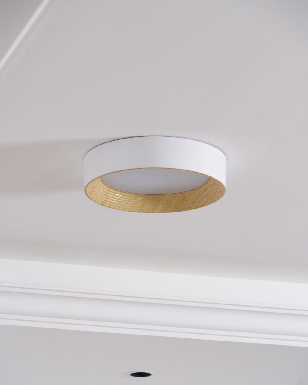 Oreen Ceiling Lamp