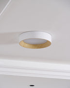 Oreen Ceiling Lamp