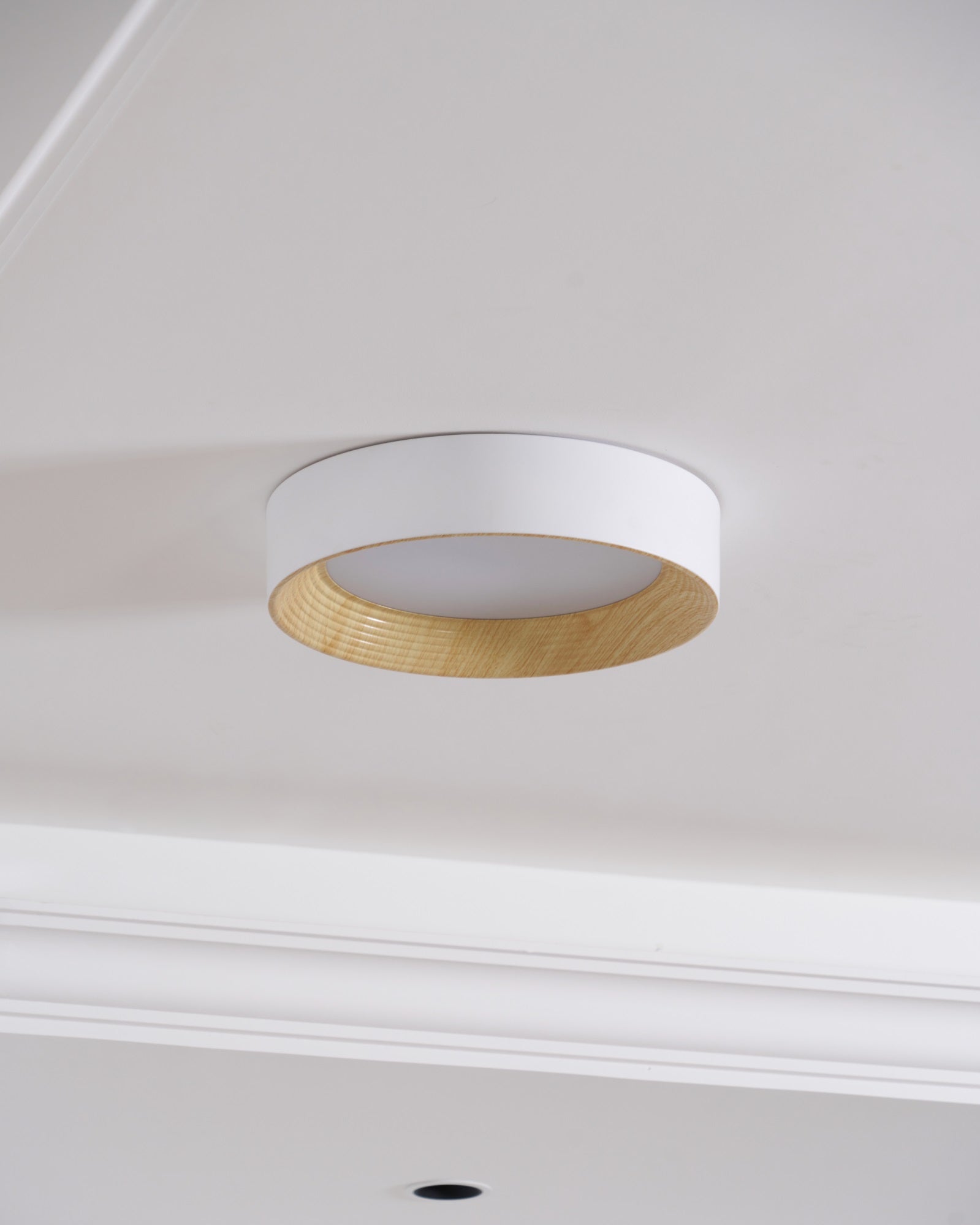 Oreen Ceiling Lamp