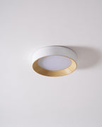 Oreen Ceiling Lamp