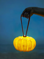 Portable Pumpkin Table Lamp