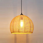 Retro Hemp Rope Interesting Pendant Light