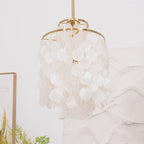 Round Shell Chandelier