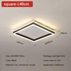 Modern Minimal LED Ceiling Light Acrylic Dimmable Round Lamp Fixtures