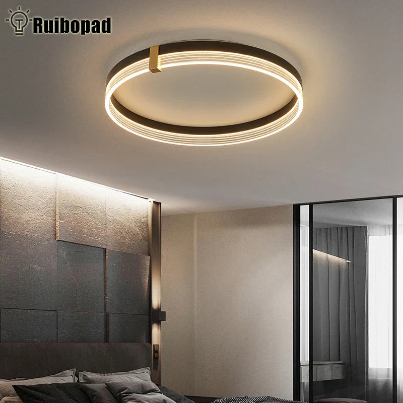 Minimalist Remote Control Round LED Ceiling Lamp for Bedroom and Living Room