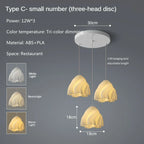 Modern 3D Print Ceiling Chandelier for Living Room & Restaurant Dining Décor