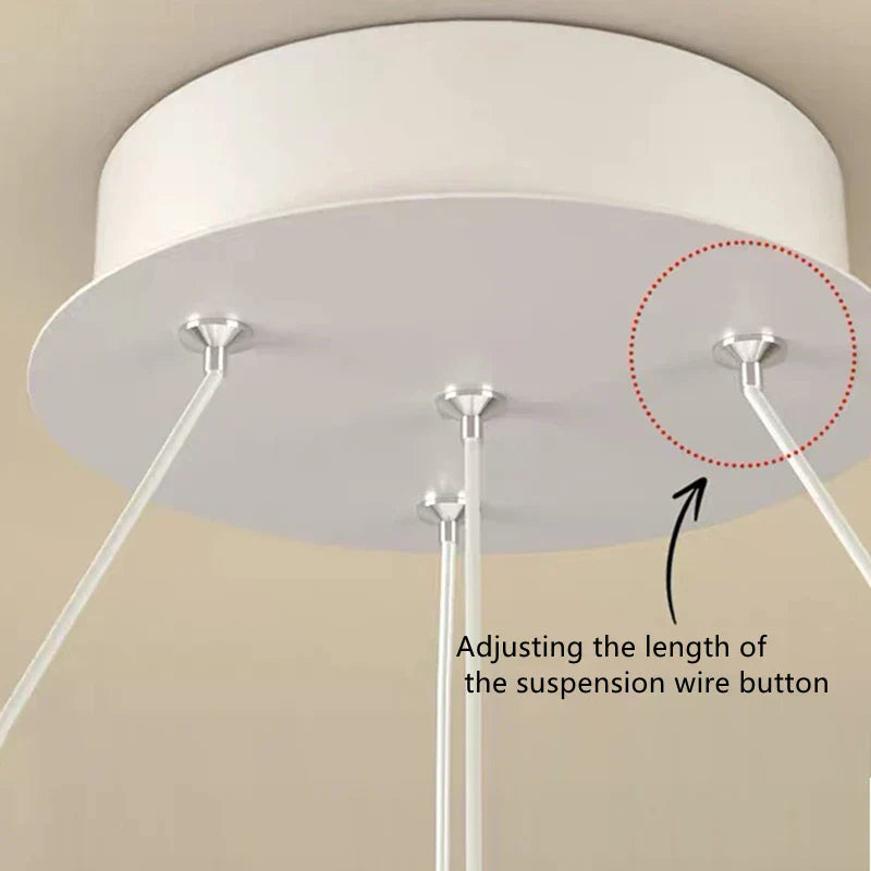 Circular Iron Ball Pendant Chandelier LED Lighting Fixtures