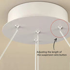 Circular Iron Ball Pendant Chandelier LED Lighting Fixtures