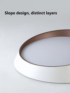 Modern LED Ceiling Lamp for Bedroom Living Dining Master Room