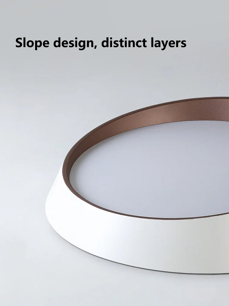 Modern LED Ceiling Lamp for Bedroom Living Dining Master Room
