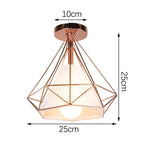 Vintage Industrial Ceiling Light Shade for Modern Kitchen Living Room Decor