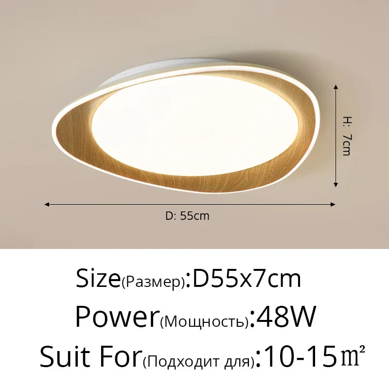 Modern LED Ceiling Chandeliers for Living Room Bedroom Kitchen Dining Home Decor