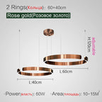 Modern Nordic Ring Chandelier LED Round Ceiling Light Pendant Lamps