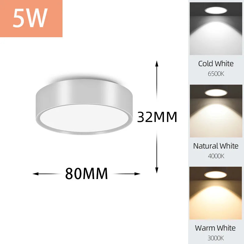 LED Downlight Ceiling Spotlights 5/10/15/25W for Indoor Kitchen Lighting