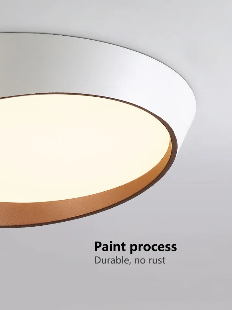 Modern LED Ceiling Lamp for Bedroom Living Dining Room