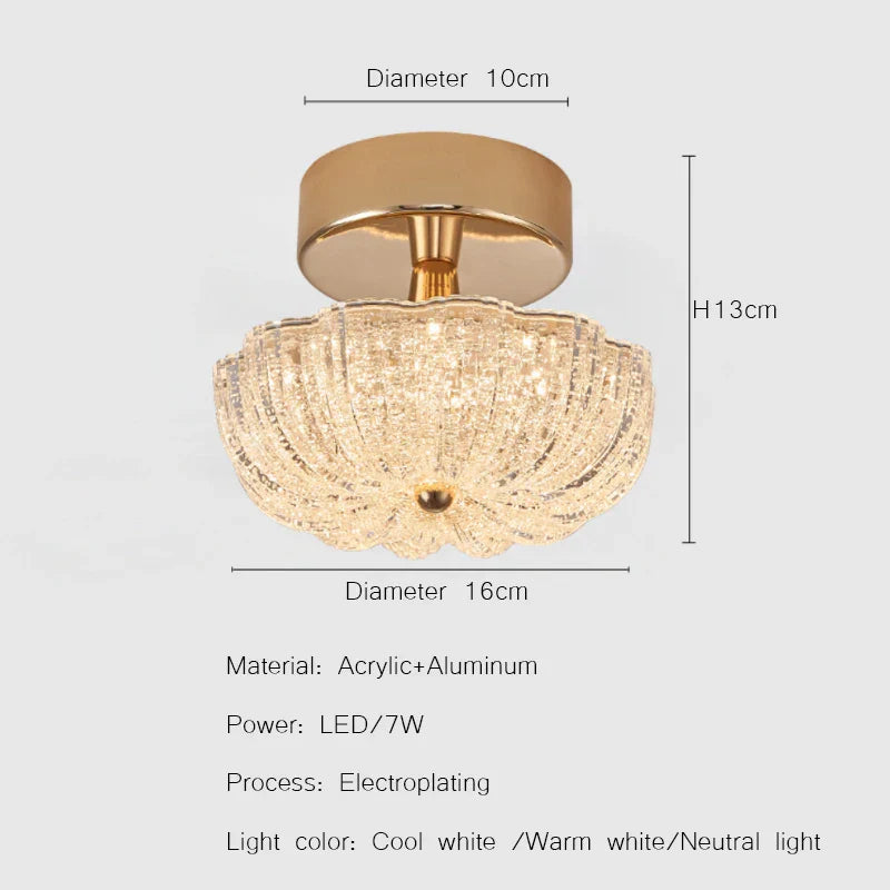 Gold LED Ceiling Light for Home Bedroom Living Room Kitchen Lighting Fixtures