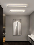 Modern LED Ceiling Light for Aisle, Corridor, Entry, Porch, Balcony, Cloakroom