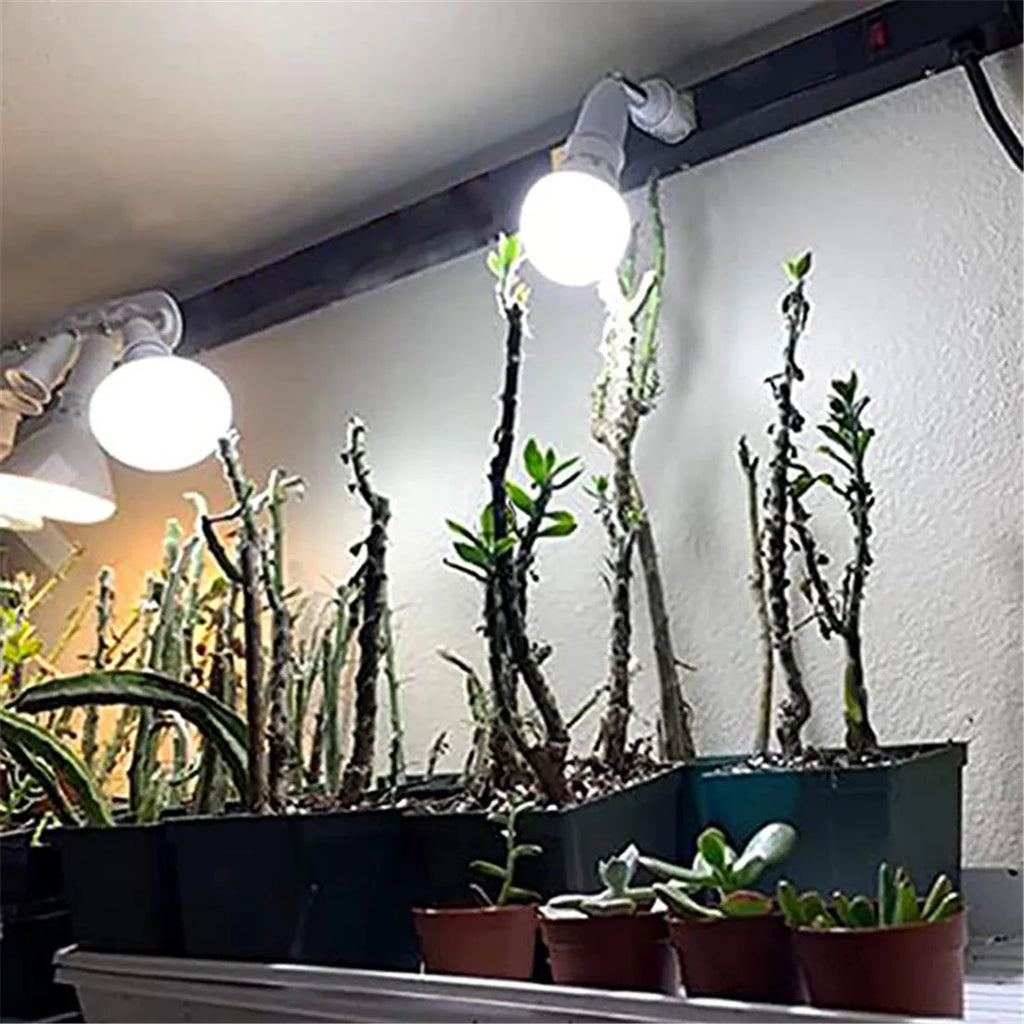 Dimmable LED Ceiling Track Lighting Fixture for Highlighting Art & Exhibitions