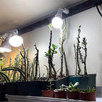 Dimmable LED Ceiling Track Lighting Fixture for Highlighting Art & Exhibitions