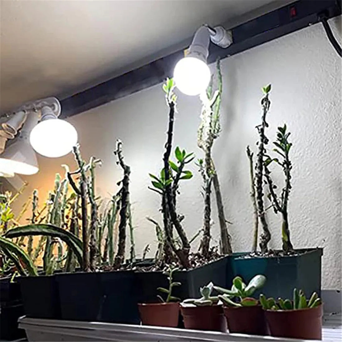 Dimmable LED Ceiling Track Lighting Fixture for Highlighting Art & Exhibitions