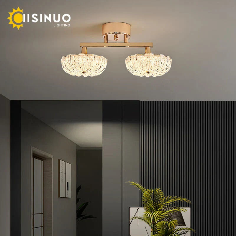 Gold LED Ceiling Light for Home Bedroom Living Room Kitchen Lighting Fixtures