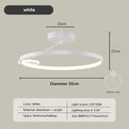 Circular LED Ceiling Lamp with Remote Control for Bedroom & Aisle Lighting