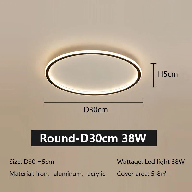 LED Ceiling Lamp Iron Dimmable Modern Living Room Light Fixture