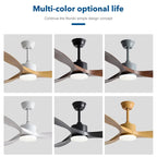 Pure Copper DC Motor Remote Control Ceiling Fan with Light