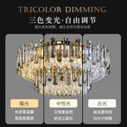 Modern Crystal Ceiling Lamp | Luxury Bedroom & Living Room Gold Light Fixtures
