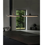 Nordic Modern Restaurant Chandelier - Designer Style, Fashionable Cafe & Tea Room Lighting