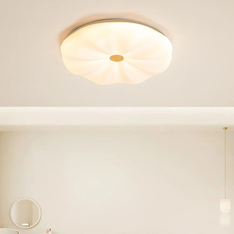 Nordic Minimalist Ceiling Light for Living Room, Kitchen, Study - Aluminum, Dimmable Luminaria