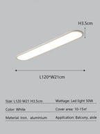 Oval LED Ceiling Light for Modern Minimalist Indoor Lighting Fixtures