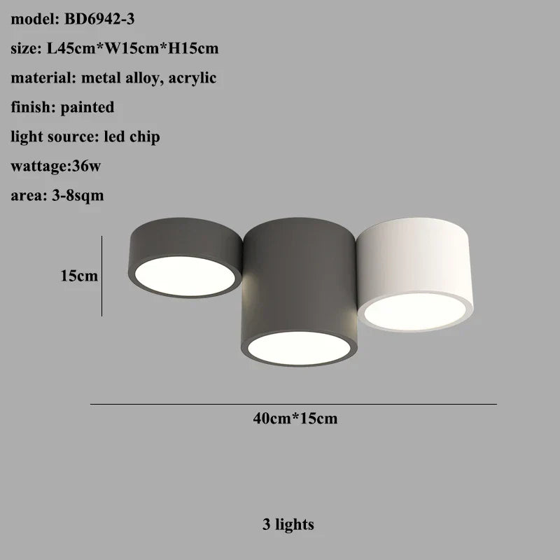 Cylinder LED Ceiling Lamp for Living Room and Bedroom Decor