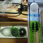 Nordic Plant Pendant Lights for Dining Room Home Decor - LED Hanging Flower Lamp